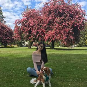 Meet your Posher, Anqi